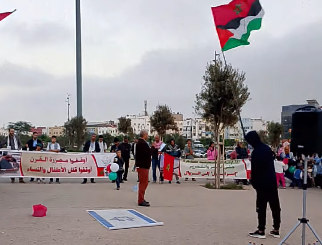 %D8%A7%D9%84%D9%85%D8%A8%D8%A7%D8%AF%D8%B1%D8%A9-%D8%A7%D9%83%D8%A7%D8%AF%D9%8A%D8%B1 المغاربة يشاركون الشعب الفلسطيني فرحة الانتصار ووقف العدوان على غزة