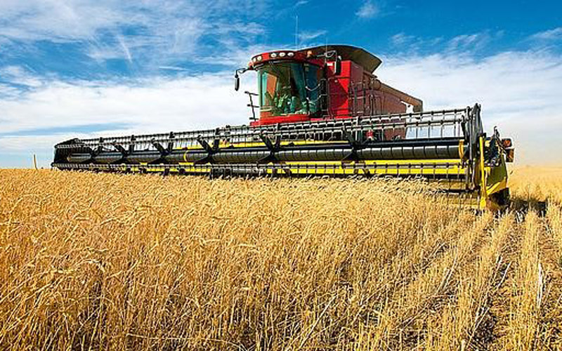 أعلنت وزارة الفلاحة والصيد البحري والتنمية القروية والمياه والغابات، اليوم الجمعة، أن الإنتاج المتوقع للحبوب الثلاث الرئيسية برسم موسم 2020