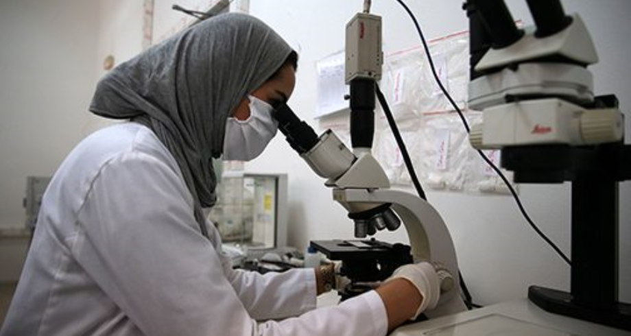 أفضت نتائج التصنيف العالمي شنغهاي للحقول المعرفية إلى تصنيف 4 جامعات مغربية في مراكز متقدمة ضمن أفضل 500 جامعة عالميا في تخصص علوم الفيزياء.