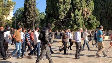 اقتحم عشرات المستوطنين الصهاينة، اليوم الاثنين، باحات المسجد الأقصى بحراسة شرطة الاحتلال الصهيونية. وأفادت "مؤسسة القدس الدولية"، عبر صفحتها على "فيسبوك"