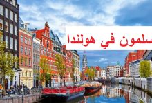 أظهرت دراسة أجريت في العاصمة الهولندية أمستردام، تزايد ممارسات الإسلاموفوبيا ضد المسلمين، في الحياة العملية وعلى المنصات الافتراضية. الدرا
