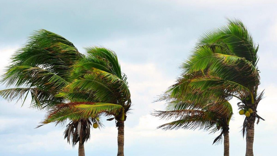 أفادت المديرية العامة للأرصاد الجوية بأن هبات رياح قوية تتراوح سرعتها ما بين 70 و95 كلم في الساعة ستهم عددا من أقاليم المملكة اليوم الجمعة