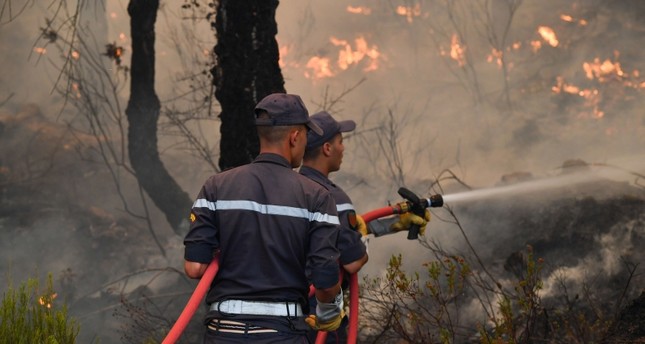 أعلنت السلطات المغربية، الثلاثاء، أن حرائق الغابات بالمغرب دمرت 9200 هكتار منذ أسبوع في أقاليم العرائش ووزان وتطوان وتازة وشفشاون، منها
