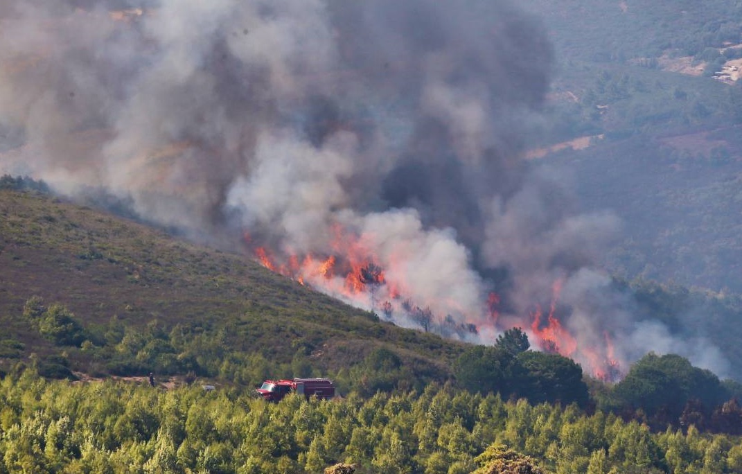 أعلنت السلطات المغربية، الثلاثاء، أن حرائق الغابات بالمغرب دمرت 9200 هكتار منذ أسبوع في أقاليم العرائش ووزان وتطوان وتازة وشفشاون، منها