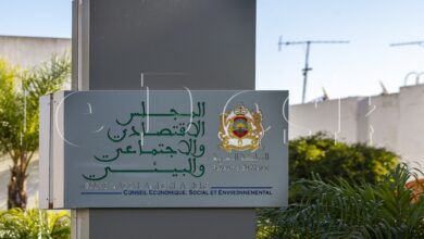  أعلن المجلس الاقتصادي والاجتماعي والبيئي عن إحداث لجنة خاصة مؤقتة لدراسة سبل تعزيز مساهمة مغاربة العالم في تنمية البلاد. وجاء ذلك خلال لقاء