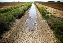 كشفت دراسة جديدة أن الجفاف الذي امتد عبر ثلاث قارات هذا الصيف - وجفف أجزاء كبيرة من أوروبا والولايات المتحدة والصين - أصبح أكثر احتمالا بمق