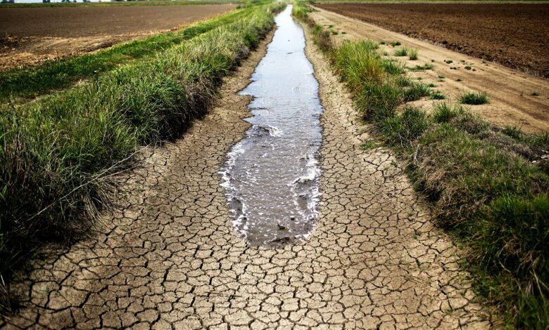 كشفت دراسة جديدة أن الجفاف الذي امتد عبر ثلاث قارات هذا الصيف - وجفف أجزاء كبيرة من أوروبا والولايات المتحدة والصين - أصبح أكثر احتمالا بمق