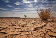 أعلن المغرب شروعه في إجراءات عاجلة لمواجهة الجفاف للعام الخامس على التوالي. وقال وزير الماء والتجهيز المغربي، نزار بركة، أمام مجلس النواب (