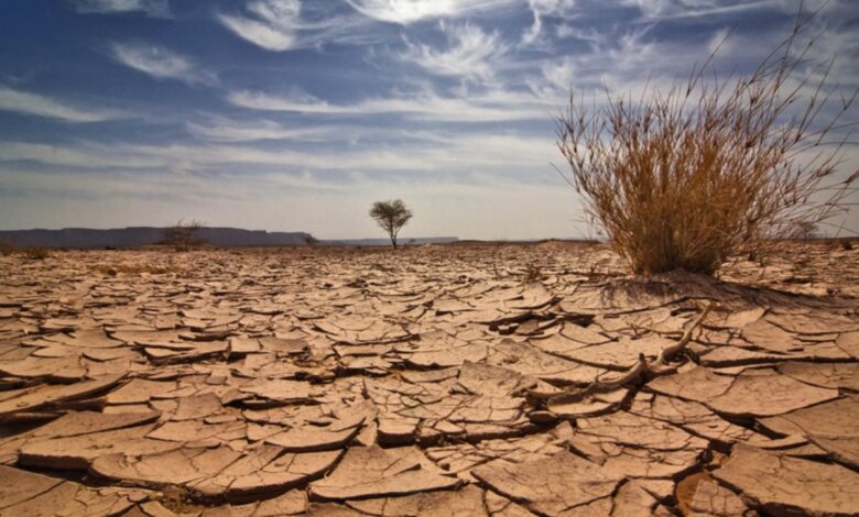 أعلن المغرب شروعه في إجراءات عاجلة لمواجهة الجفاف للعام الخامس على التوالي. وقال وزير الماء والتجهيز المغربي، نزار بركة، أمام مجلس النواب (