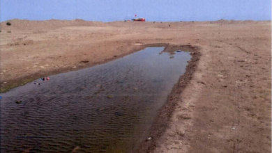 كشف التقرير السنوي الصادر عن المنظمة العالمية للأرصاد الجوية (WMO) حول "حالة الموارد المائية العالمية" أن عام 2025 كان واحدا من أكثر الأعو