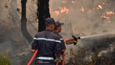 أعلنت الوكالة الوطنية للمياه والغابات أمس الثلاثاء أن عدد الحرائق المسجلة في البلاد منذ مطلع يناير الماضي، حتى تاريخ 24 يوليوز الجاري بلغ 2