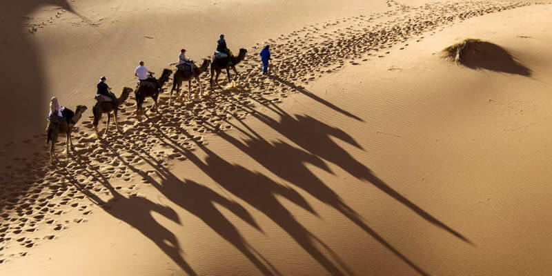 يحتفي المسلمون في كافة أنحاء العالم بذكرى هجرته صلى الله عليه وسلم، التي غيرت العالم، وأعلت قيم التحرر من عبادة العباد والتوجه نحو عبادة رب