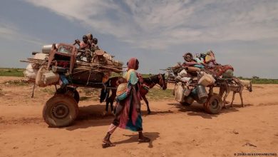 أكدت الأمم المتحدة أن بعثة أممية أجرت تقييما ميدانيا حول الوضع الغذائي في السودان، وذكرت أن هناك "انخفاضات كبيرة" في الحبوب والمحاصيل إلى ج