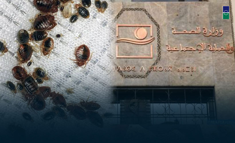 أعلنت وزارة الصحة والحماية الاجتماعية أمس الثلاثاء عن تفعيل نظام اليقظة الصحية لمواجهة أي احتمال لتسرب حشرة بق الفراش إلى التراب الوطني. وأ