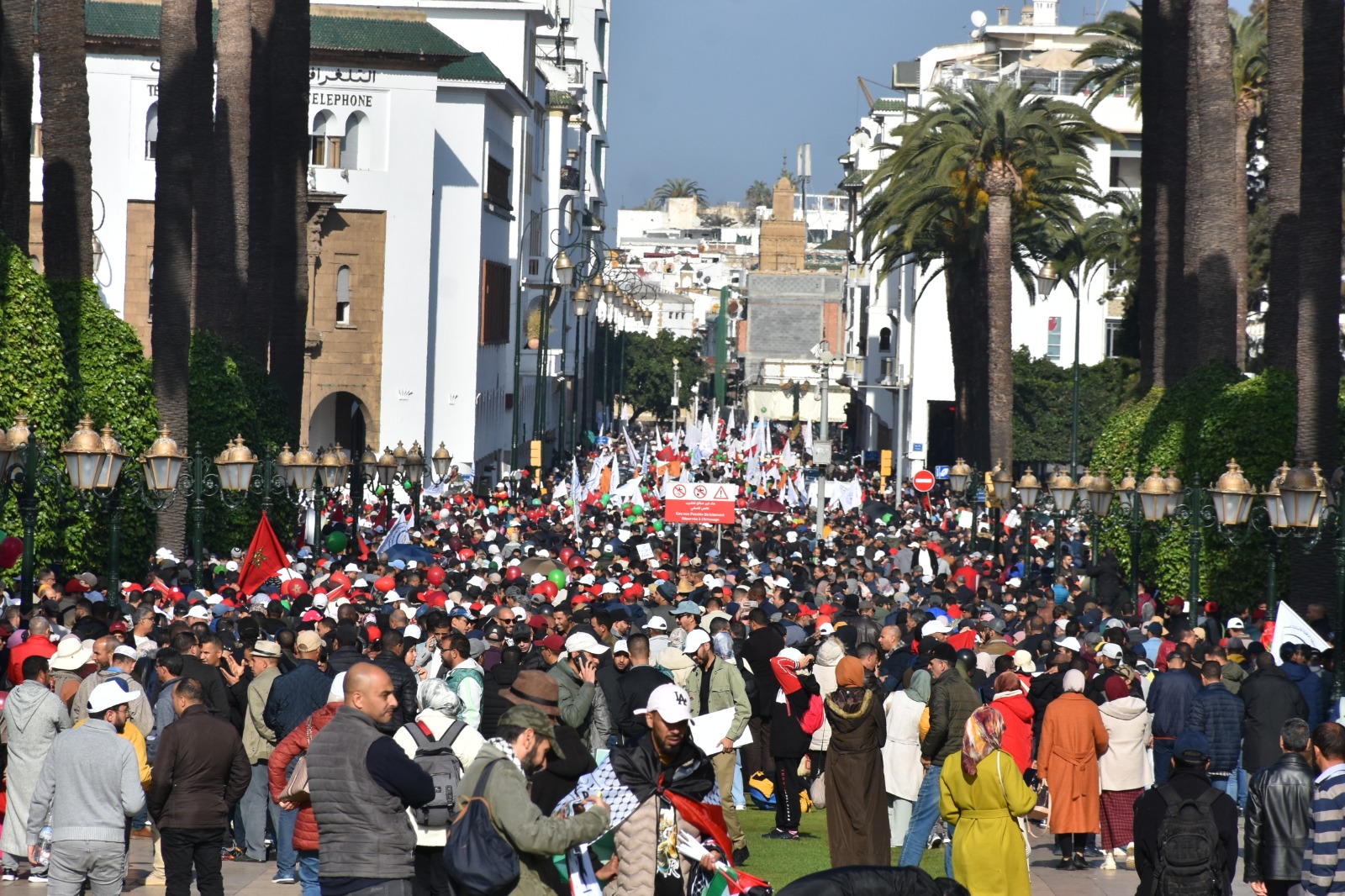 أعلن التنسيق التعليمي الميداني عن خوضه خطوات نضالية جديدة احتجاجا على تماطل وزارة التربية الوطنية والتعليم الأولي والرياضة في إعادة عشرات ا