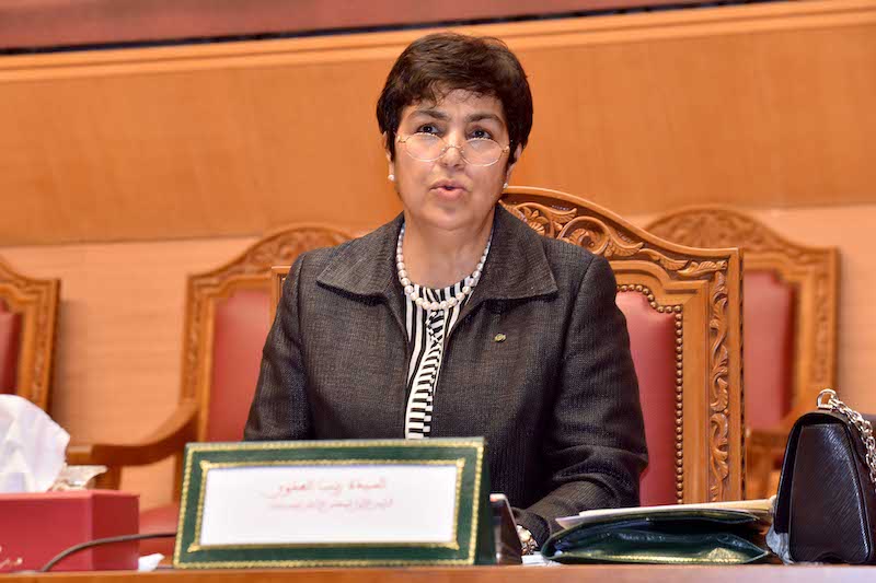 السيدة زينب العدوي