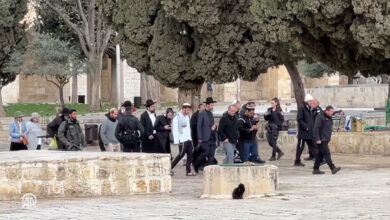 مستوطنون يهود ينظمون مسيرة في شوارع البلدة القديمة بالقدس بمناسبة عيد المساخر