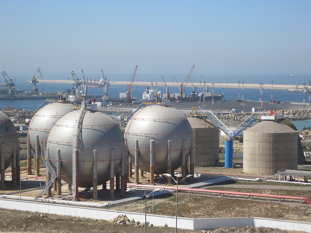 كشف تقرير مشترك أعدّته منظمة غرينبيس الشرق الأوسط وشمال إفريقيا بالتعاون مع منظمة غرينبيس إفريقيا أنّ العدد الكبير من الوفيات المبكرة المسج