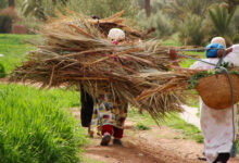 أفاد تقرير جديد أن المنطقة العربية من بينها المغرب هي الأقل مساواة في العالم، وتتجه نحو مزيد من عدم المساواة. حيث ضربت المنطقة أزمات متتالية