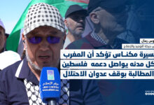 د أوس رمال : مسيرة مكناس تؤكد أن المغرب بكل مدنه يواصل دعمه فلسطين والمطالبة بوقف عدوان الاحتلال