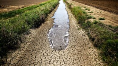 أصدر المعهد الملكي للدراسات الاستراتيجية تقرير مؤلف من 24 صفحة بعنوان "مستقبل الزراعة بالمغرب في سياق الإجهاد المائي البنيوي"، انتقد فيه عدد من الاختلالات فيما يخص السياسات العمومية في مجال القطاع الفلاحي والتحديات الحالية والمستقبلية ووضع المقترحات من أجلس مستقبل أفضل للفلاحة المغربية.