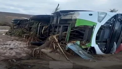 أفادت السلطات المحلية بإقليم طاطا أنه وعلى إثر التساقطات الرعدية جد القوية التي شهدها الإقليم والتي أدت إلى إحداث تدفقات فيضانية استثنائي