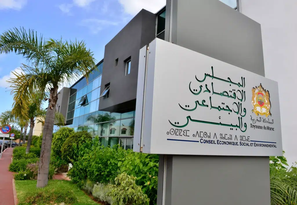 حذّر المجلس الاقتصادي والاجتماعي والبيئي من أن استمرار أو تفاقم إفلاس المقاولات، لا يتسبب في تدمير الرأسمال الإنتاجي فحسب، بل يخلق توترات