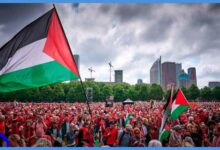 تظاهر عشرات آلاف الأشخاص، اليوم الأحد في لاهاي، احتجاجا على سياسة الحكومة الهولندية إزاء إسرائيل والحرب في غزة، في أكبر تجمّع في البلد منذ 2