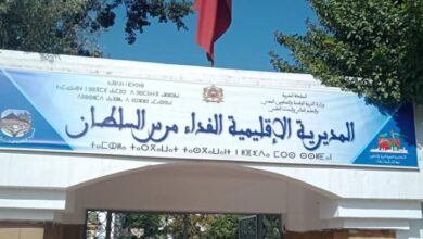  فضيحة رفض المديرية الإقليمية للتربية الوطنية بالفداء مرس السلطان، بجهة الدار البيضاء سطات، إدراج واعتماد نصين للغة العربية في الامتحان المو