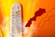 قدمت المديرية العامة للأرصاد الجوية، الجمعة الماضية بالرباط، تقرير "حالة المناخ بالمغرب لسنة 2024"، وذلك خلال لقاء عقد بحضور وزير التجهيز و