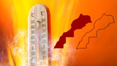 قدمت المديرية العامة للأرصاد الجوية، الجمعة الماضية بالرباط، تقرير "حالة المناخ بالمغرب لسنة 2024"، وذلك خلال لقاء عقد بحضور وزير التجهيز و