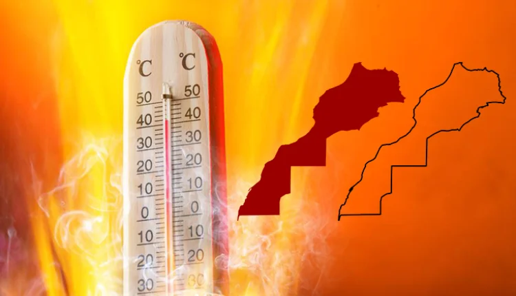قدمت المديرية العامة للأرصاد الجوية، الجمعة الماضية بالرباط، تقرير "حالة المناخ بالمغرب لسنة 2024"، وذلك خلال لقاء عقد بحضور وزير التجهيز و