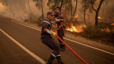 دعت الوكالة المغربية للمياه والغابات، أمس الاثنين، سكان المناطق المجاورة للغابات في 3 أقاليم إلى توخي الحذر من اندلاع حرائق، بدءا من غد الث