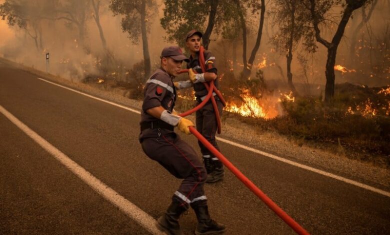 دعت الوكالة المغربية للمياه والغابات، أمس الاثنين، سكان المناطق المجاورة للغابات في 3 أقاليم إلى توخي الحذر من اندلاع حرائق، بدءا من غد الث