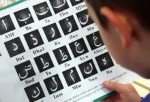 تعد اللغة العربية الأكثر تحدثا بعد اللغة الفرنسية في فرنسا خصوصا وأنها تحتل المرتبة الثانية بين اللغات الأكثر انتشارا في فرنسا بعد الفرنسية