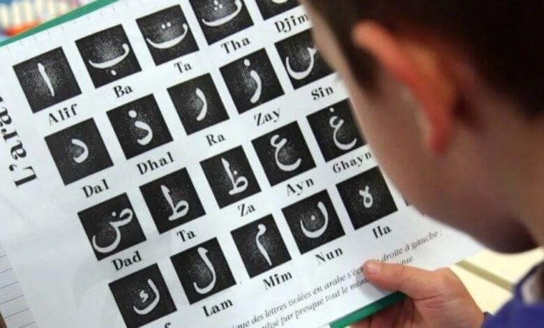 تعد اللغة العربية الأكثر تحدثا بعد اللغة الفرنسية في فرنسا خصوصا وأنها تحتل المرتبة الثانية بين اللغات الأكثر انتشارا في فرنسا بعد الفرنسية