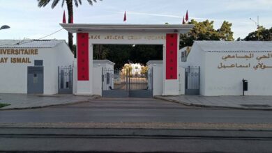استنكر مصطفى العلوي رئيس منظمة التجديد الطلابي قرار رفض مدير الحي الجامعي مولاي إسماعيل بالرباط إعادة تسجيل مناضلي فرع المنظمة بالرباط وطل