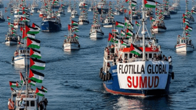 تعرضت سفن أسطول الصمود الدولي لعمليات تحليق واسعة لمسيّرات فوق عدد منها، حيث رُصدت 15 مسيّرة تحلّق فوق سفينة (ألما) معظمها على ارتفاعات من