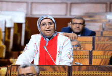 البرلمانية نعيمة الفتحاوي