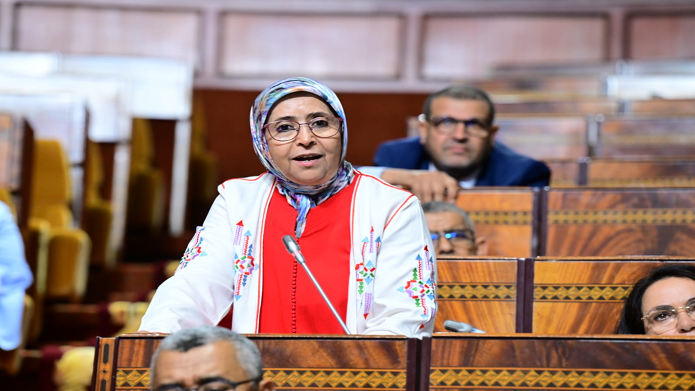 البرلمانية نعيمة الفتحاوي