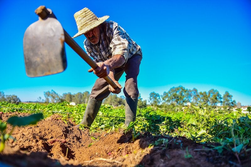 أكد تقرير حديث لمؤسسة “فريدريش ناومان” تحت عنوان “الزراعة تحت الضغط: تغير المناخ وأمن المغرب الغذائي”، أن صغار المزارعين في البوادي المغرب