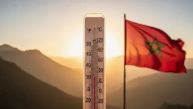 كشفت بيانات تقرير جديد حول حالة المناخ في المنطقة العربية لعام 2024 أن المغرب بالإضافة إلى 10 دول عربية من أصل 22 سجّلوا عامهم الأكثر حرّا