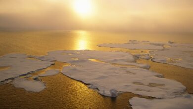 كشفت دراسة دولية حديثة عن تسجيل محيطات العالم مستويات حرارة غير مسبوقة خلال عام 2025، متجاوزة كافة الأرقام القياسية منذ بدء التوثيق العلمي.