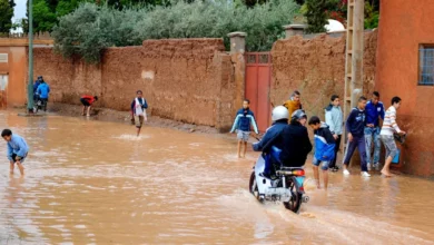 أكدت الفيدرالية الوطنية المغربية لجمعيات آباء وأمهات وأولياء التلاميذ أن سلامة التلميذات والتلاميذ والأطر التربوية تظل "الأولوية القصوى" في