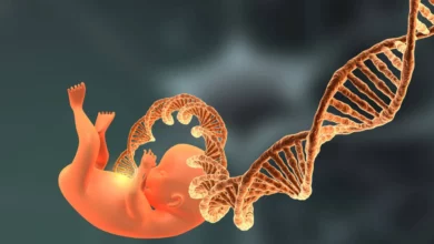 تشير أحدث البيانات الصادرة عن منظمة الصحة العالمية لعام 2026 إلى أن نحو 45% من عمليات الإجهاض حول العالم لا تزال تُصنف كعمليات "غير آمنة"،