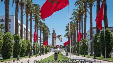 حققت المملكة المغربية قفزة نوعية في تصنيفات جودة النخب العالمية، حيث تبوأت المرتبة 40 عالميا في "بارومتر خلق القيمة للجيل القادم" (NGVCb) ل