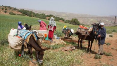 دعت وزارة الصحة والحماية الاجتماعية كافة المواطنات والمواطنين إلى إيلاء عناية فائقة للفئات الأكثر هشاشة وتوخي أقصى درجات اليقظة والحيطة، للو