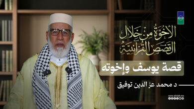 الأخوة من خلال القصص القرآنية | قصة يوسف وإخوته - د محمد عز الدين توفيق