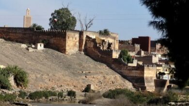 ينظم مركز أبي شعيب الدكالي للأبحاث والدراسات، بتنسيق وتعاون مع مؤسسة محمد بصير للأبحاث والدراسات والإعلام، ندوة علمية دولية مرتقبة تحت عنوا