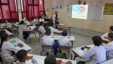 شرعت وزارة التربية الوطنية والتعليم الأولي والرياضة المغربية في تنزيل تجربة "الأستاذ المرجعي" بالمؤسسات الثانوية الإعدادية الرائدة، وذلك مع
